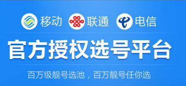 中國鐵通服務(wù)熱線與網(wǎng)絡(luò)技術(shù)服務(wù)指南